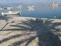 Boats in mediterranean port and palm shadow, NAFPLIO, GREECE